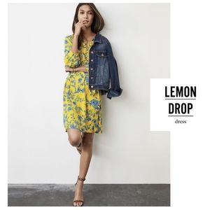 CAbi Lemon Drop Dress, #5794 XL Spring 2020